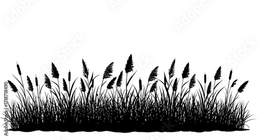 Silhouette of tall grass and reeds against a white background, creating a natural, graphic element.