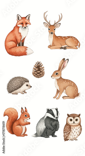 Watercolor forest animal set featuring a fox, deer, hedgehog, hare, squirrel, badger, owl, and pine cone