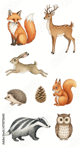 Watercolor Forest Animals Collection Fox, Deer, Hare, Hedgehog, Squirrel, Badger, Owl - Nature Illustrations