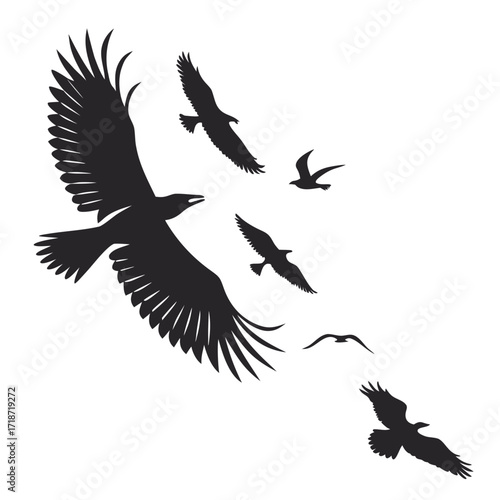 Flock of eagles soaring in the sky silhouette Keywords: eagle, bird, flock, flying, soaring