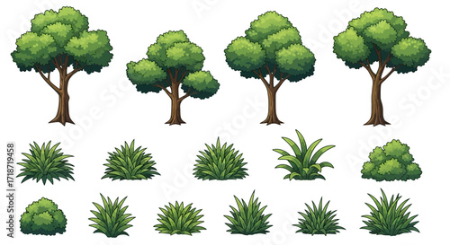 Illustration of four cartoon trees with green foliage and brown trunks, accompanied by various green bush and grass clusters.