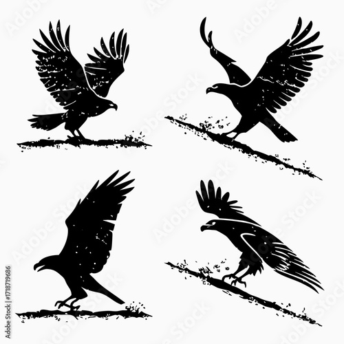 Four Black Silhouette Eagles Landing on Branches Keywords: eagle, bird, silhouette, landing