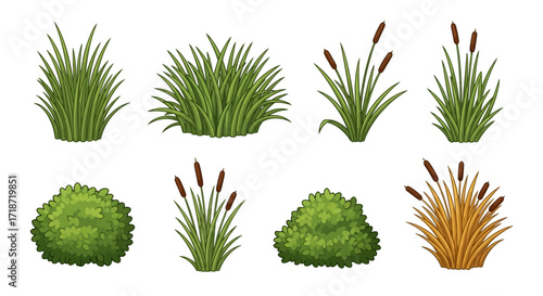 Illustration of various cartoon-style grass clumps and cattails, some green and some brown, arranged on a white background.
