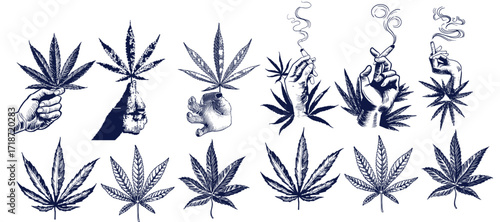 Set of hand drawn cannabis leaves, bong, smoking pipes. Design element
