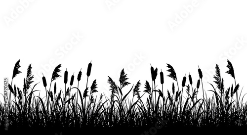Silhouette of cattails and grass against a white background, creating a simple, natural border or graphic element.