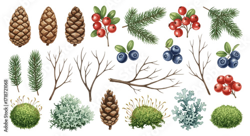 Watercolor nature elements set with pine cones, berries, branches, and moss for design