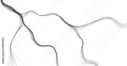 Abstract flowing lines converge and diverge, creating a dynamic, organic pattern on a white background.