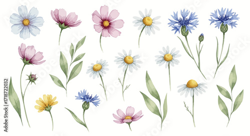 Vibrant watercolor botanical clip art collection of wild flowers and leaves, perfect for spring and summer designs