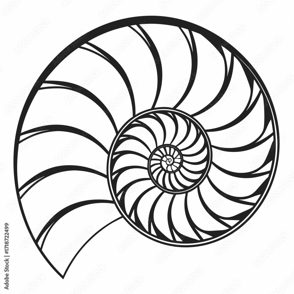Obraz premium Nautilus Shell Spiral Pattern Outline illustration