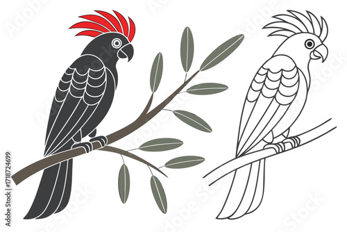 Black Cockatoo and Outline Cockatoo on Branches Keywords: cockatoo, parrot, black, red crest