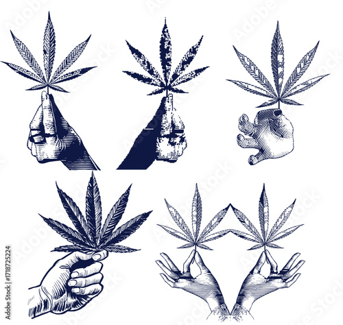 Set of hand drawn cannabis leaves, bong, smoking pipes. Design element