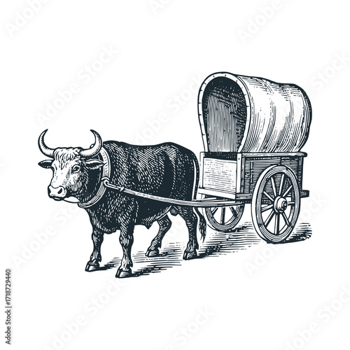 Vintage medieval Oxcart. Black white hand drawn vector illustration.
