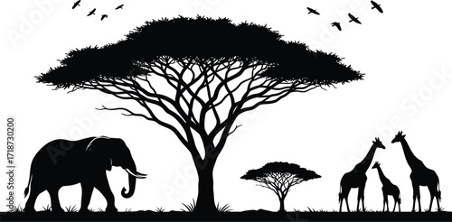 Silhouette african safari animals wildlife nature vector art vector