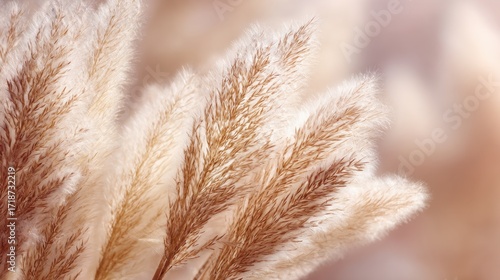 Soft Beige Pampas Grass Against a Gentle Blurred Background