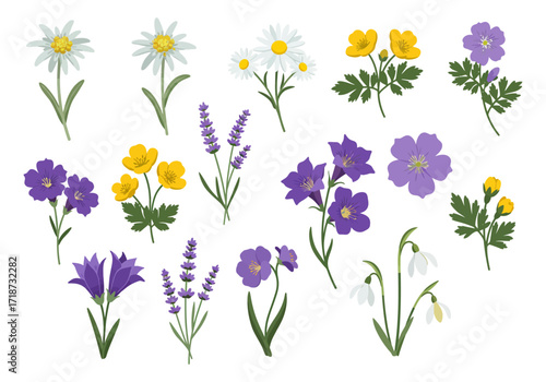 Illustration of assorted colorful flowers each with distinct shapes and arrangements against a plain white background