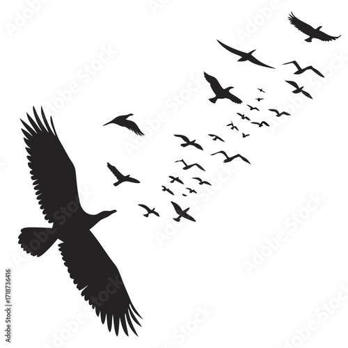 Eagle Leading a Flock of Birds in Flight Silhouette