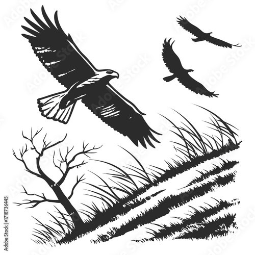 Eagle soaring over grass and a bare tree bird flying