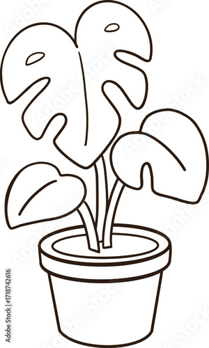Coloring page of a potted taro plant