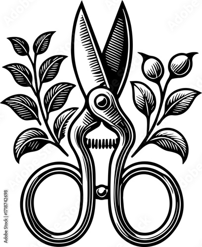Illustration of vintage shears surrounded by leafy branches with berries in a monochrome black and white style