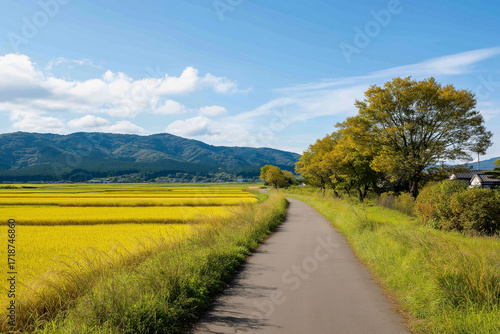 黄金色の稲穂と田舎道の秋風景