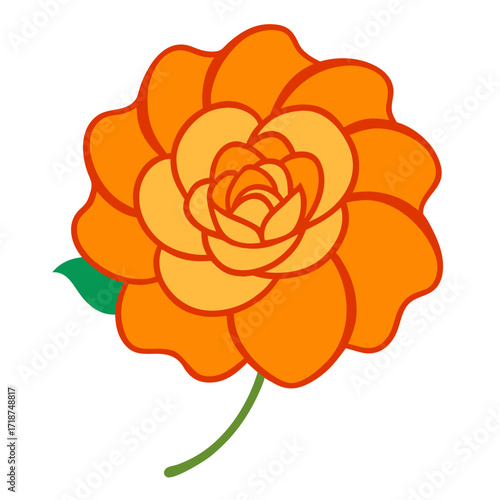 orange begonia flower line art vector on white