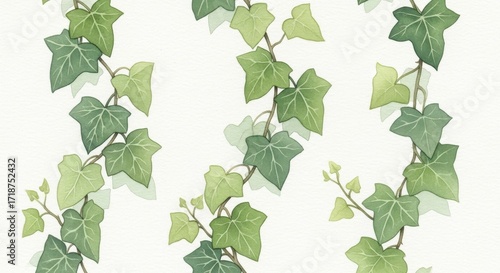 Watercolor Ivy Vine Pattern on White Background Botanical Illustration.