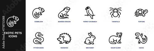 Exotic Pets Line Icon Set