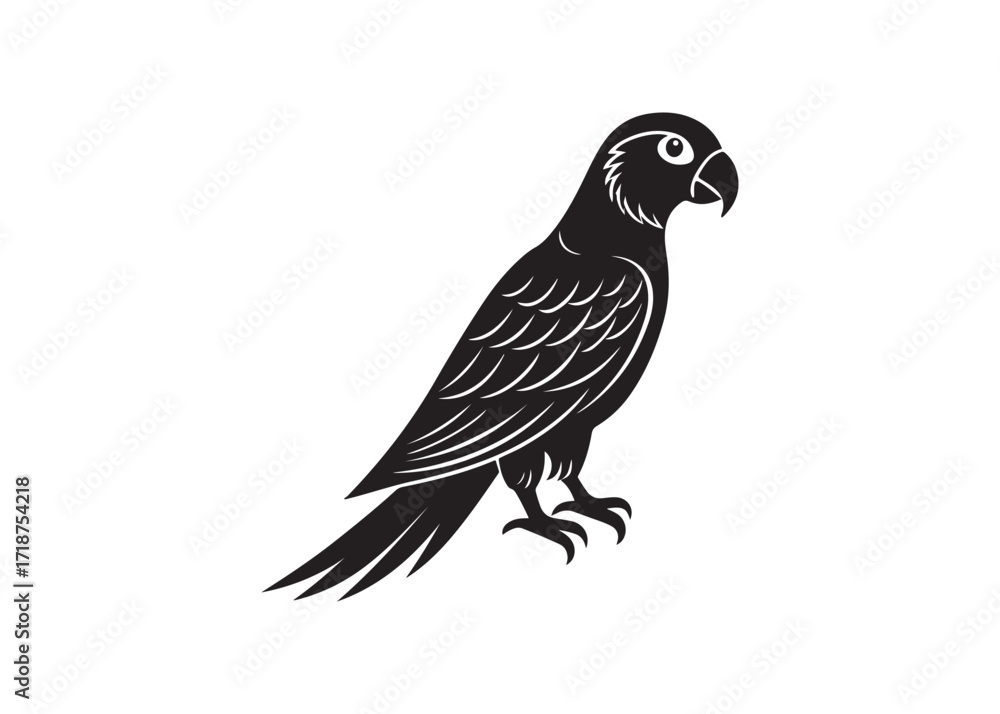 Fototapeta premium Parrot silhouette isolated vector illustration of exotic tropical bird design.