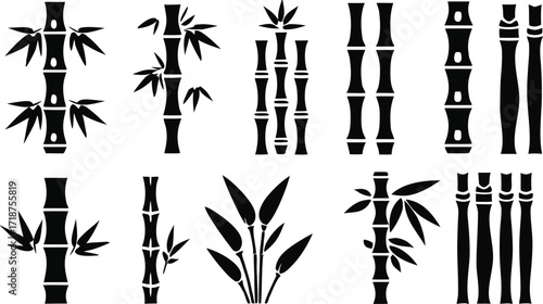 bamboo vector illustration