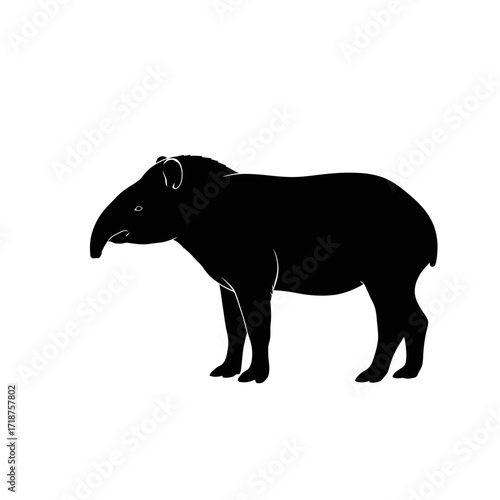 Black tapir silhouette isolated on white background