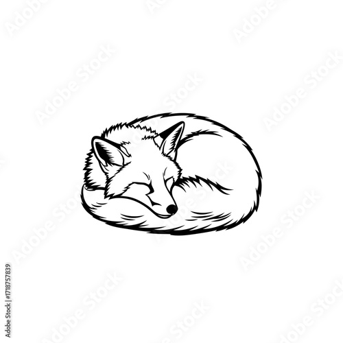 Sleeping fox curled up silhouette isolated on white background