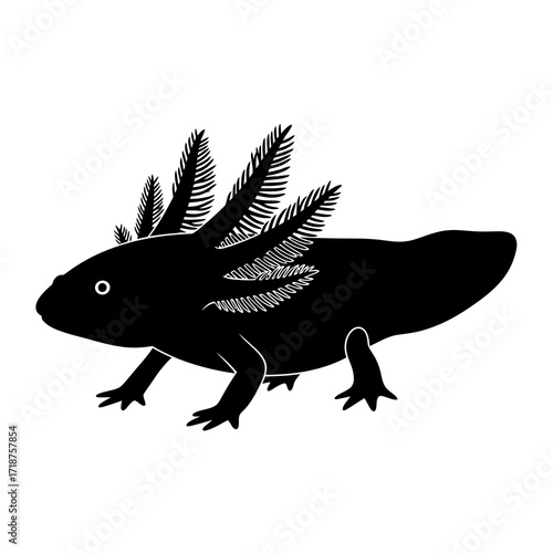 Axolotl silhouette isolated on white background