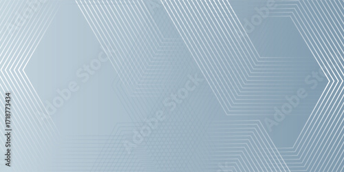 Abstract hexagon lines on gray background. Geometric stripe line art design modern. vector illustration eps10