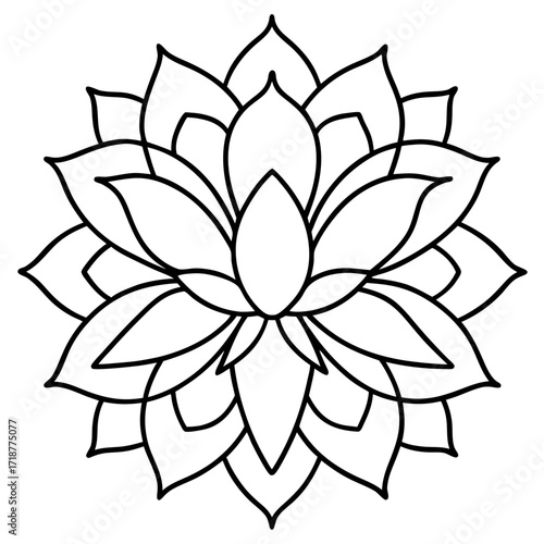 A detailed line art coloring page for adults, featuring an abstract wild floral pattern in the style of a Mandela design
