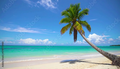 Fototapeta Naklejka Na Ścianę i Meble -  Idyllic beach scene with leaning palm tree, turquoise water, and bright sky