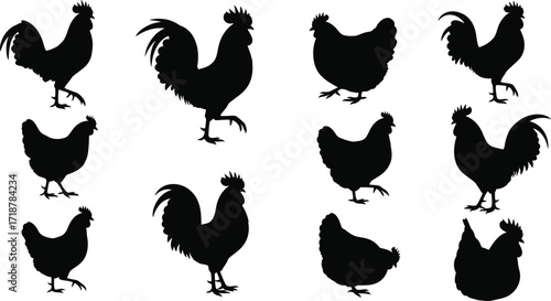 Black chicken and rooster silhouettes farm animal vectors