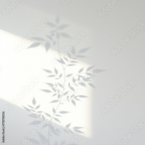 Minimalistic abstract light grey wall background for product presentation with sunlight shadow of plant leaves