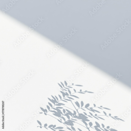 Minimalistic abstract light grey wall background for product presentation with sunlight shadow of plant leaves