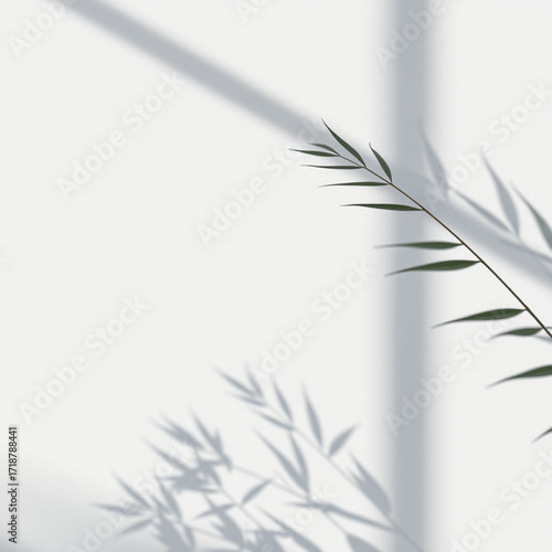 Minimalistic abstract light grey wall background for product presentation with sunlight shadow of plant leaves
