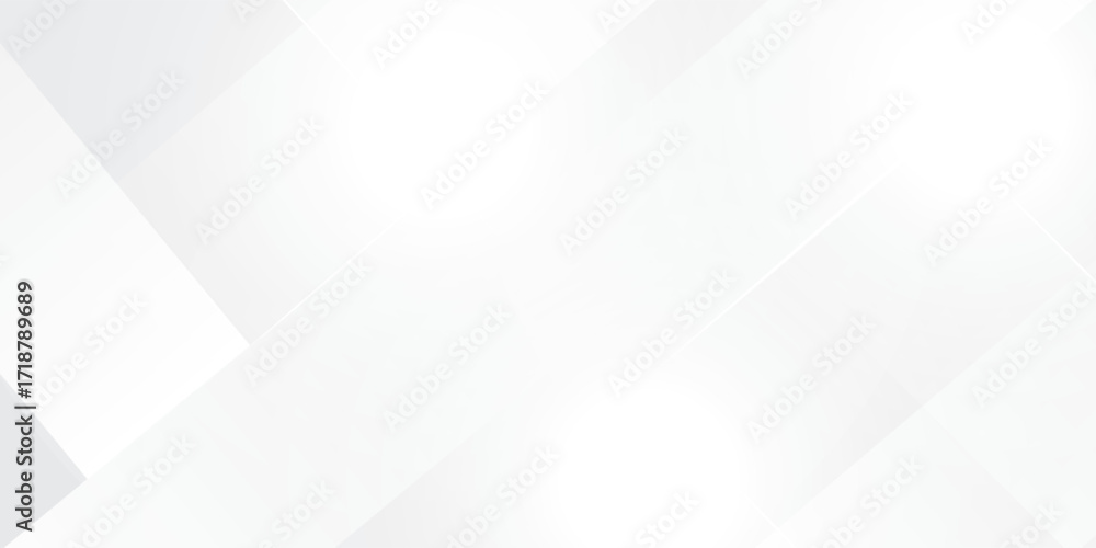 Fototapeta premium Abstract white and gray background. smooth abstract background, blurred pattern. Light pale vector background. Abstract pale geometric pattern eps 10