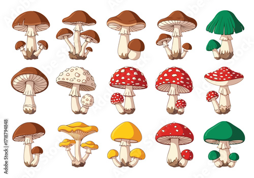 Vector illustration of illustration of assortment of colorful mushroom illustrations