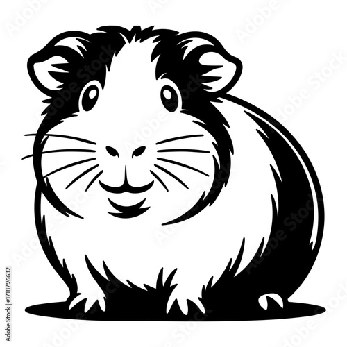 Guinea Pig