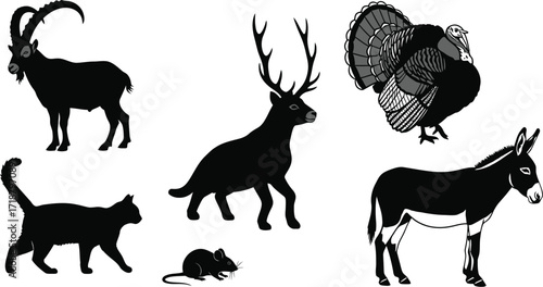 Animals silhouettes vector art illustration stock graphics