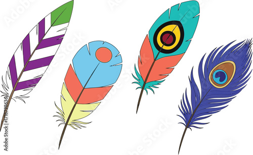 Colorful feathers illustration art drawing peacock plume design
