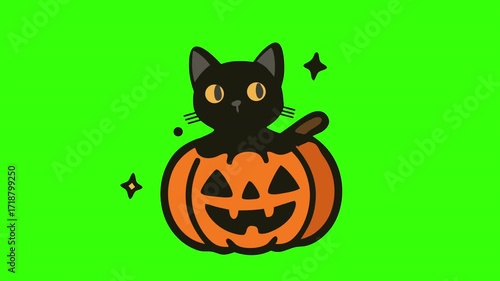 Halloween Cats Icon Animation On Green Screen Background With Spooky Motion For Creative Branding, Animated Ads, Halloween Story Posts, Game Overlays, And Festival Digital Content