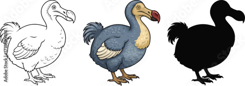 Dodo bird in sketch, color, and silhouette illustration
