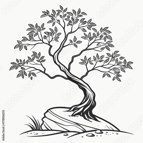 A stylized black and white illustration of a mature tree with a gnarled trunk and abundant foliage rooted on a rocky outcrop with sparse grass and pebbles