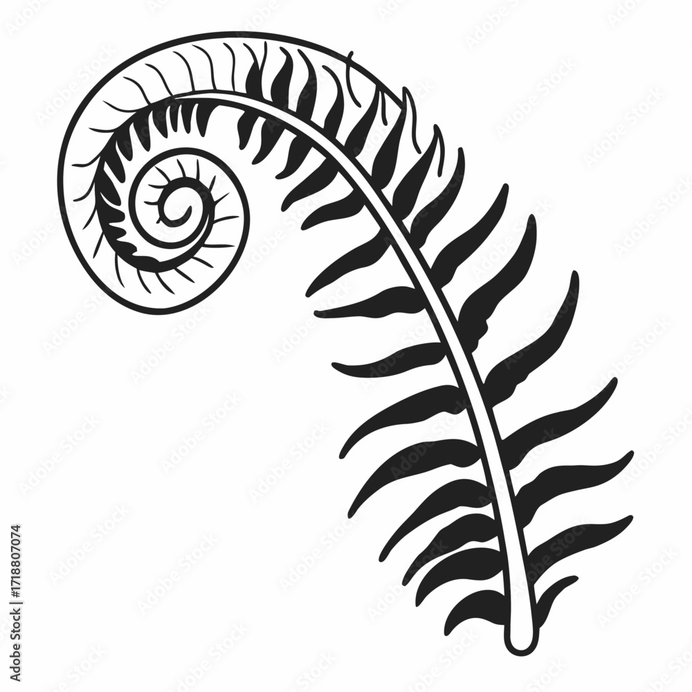 Obraz premium Elegant black and white silhouette of a unfurling fern frond with a distinct spiral shape at the tip on a clean white background