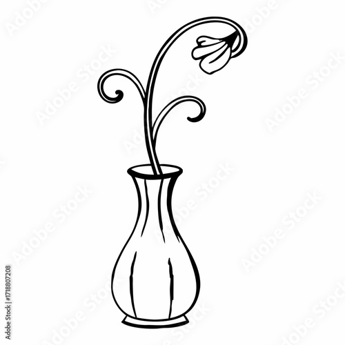 Elegant single black and white line drawing of a delicate flower with curled stems in a simple vase on a white background