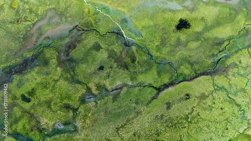 Quadro su tela aerial view of wetland